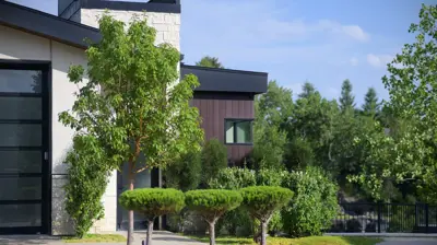 Cascading into Nature Photo